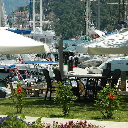 Marina Vista