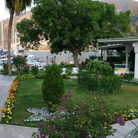 Marina Vista